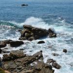 TourdSoCal_1_0121 (September 11, 2015)